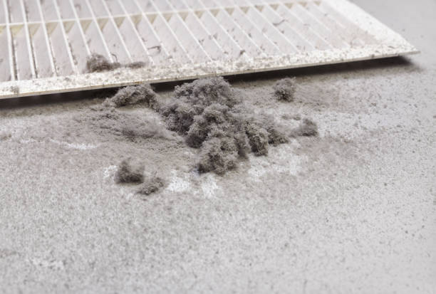 Best Professional Duct Cleaning Services  in Aberdeen, MD